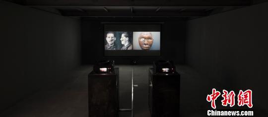 ζʯ߱ڻ߸帴˺״δ޷