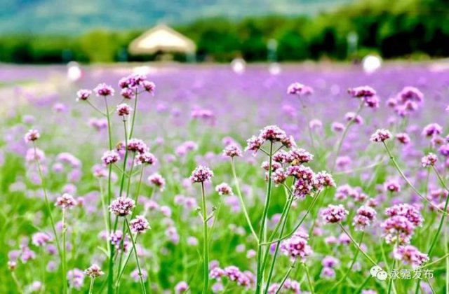 ɹҼԵ㣡ũ弯Ȩƶپޱ