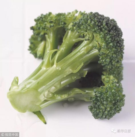 ذҸ£ЩҪ𣡿쿴ûļ