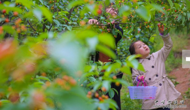 ������������ʱ��ӣ�Һ����˲�ժ��ũ��