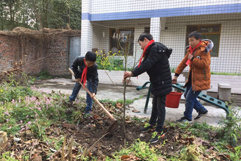 �Ĵ��������½�Сѧ���̻�У԰  ��������