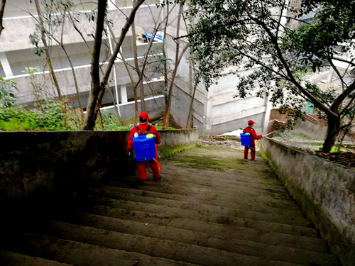 ͨ������ɽСѧ��չ������ȫ��ɱ����