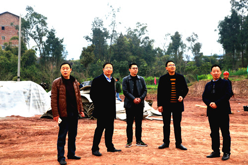 ���Ź���ץ��ʵ  ʵ�ص��в����