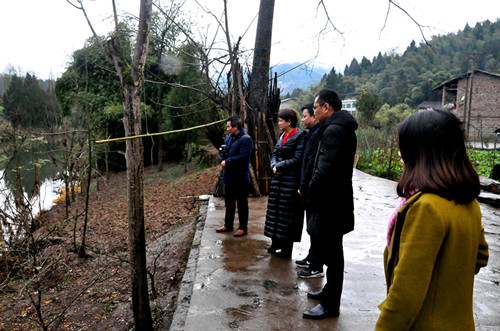 �ﴨ�������������ο�չѲ�ӹ���