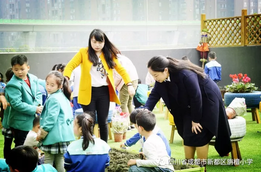 ��԰�������ɶ����¶����̴СѧУ԰ũ���Ļ�԰������ʽ